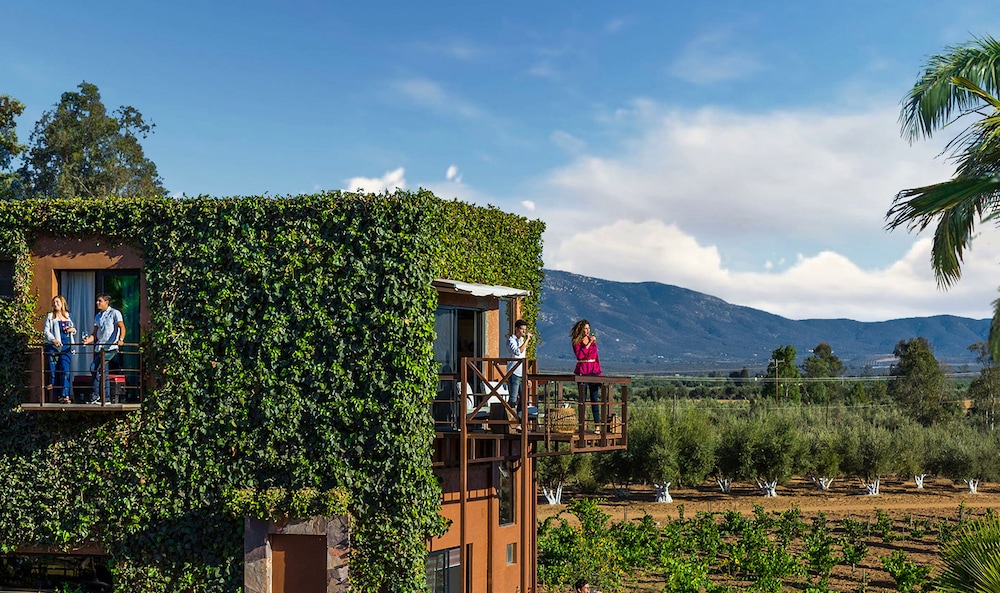 HOTEL BOUTIQUE VALLE DE GUADALUPE 77/83