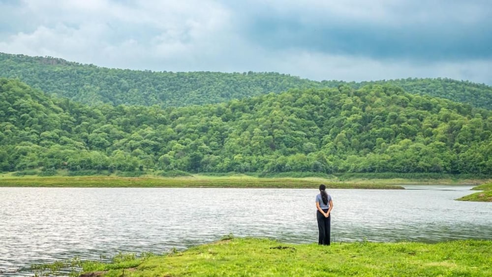 The Fern Sattva Resort Polo Forest 33/48