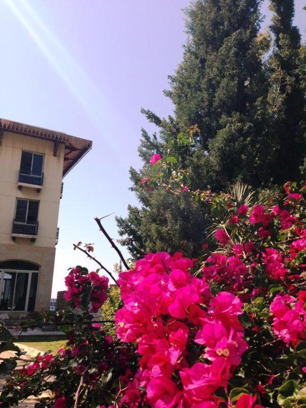 Lamunia Hotel & Wellness Spa 38/38
