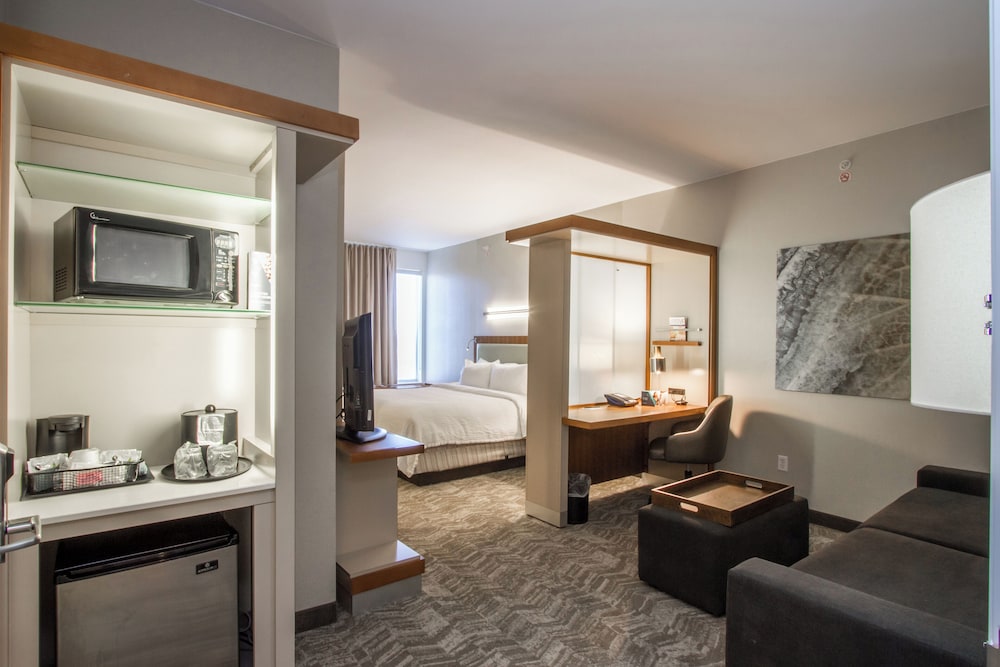 SpringHill Suites by Marriott San Angelo 49/50