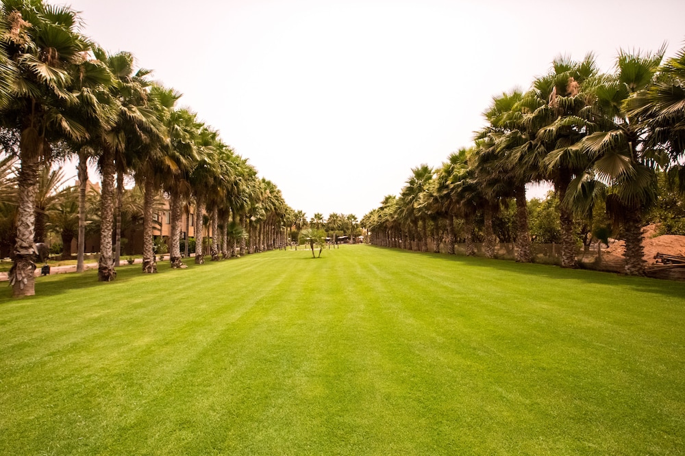 Domaine Villate Limoune 45/50