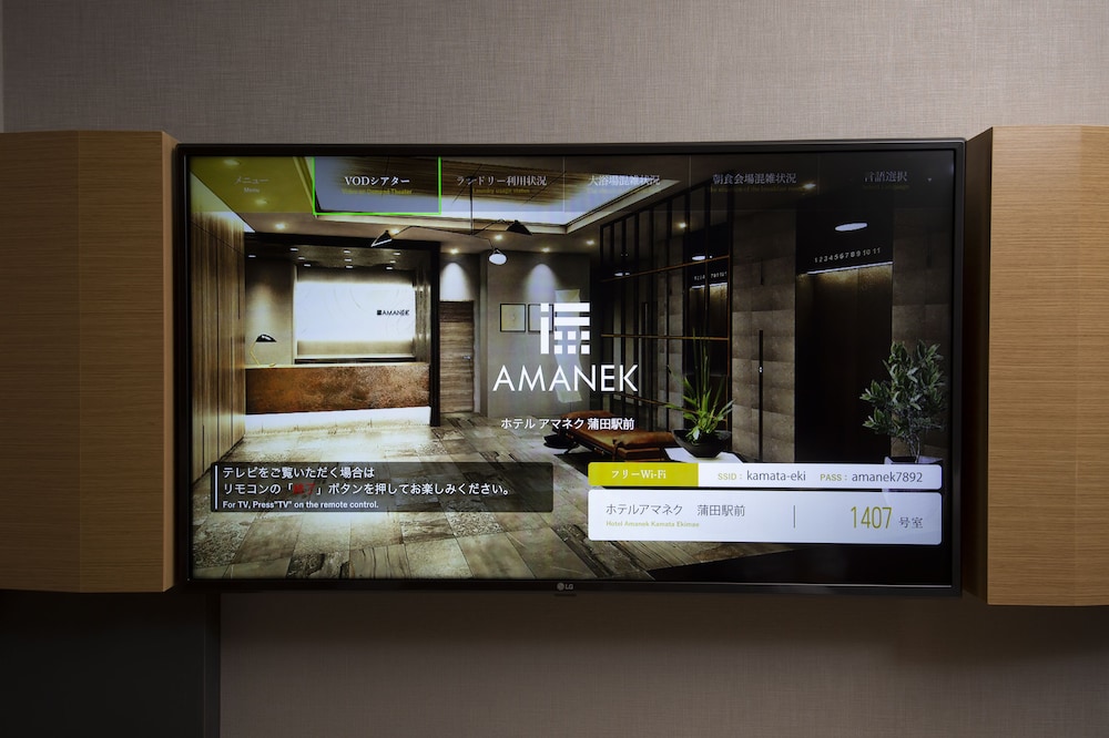 Hotel Amanek Kamata Ekimae 34/49
