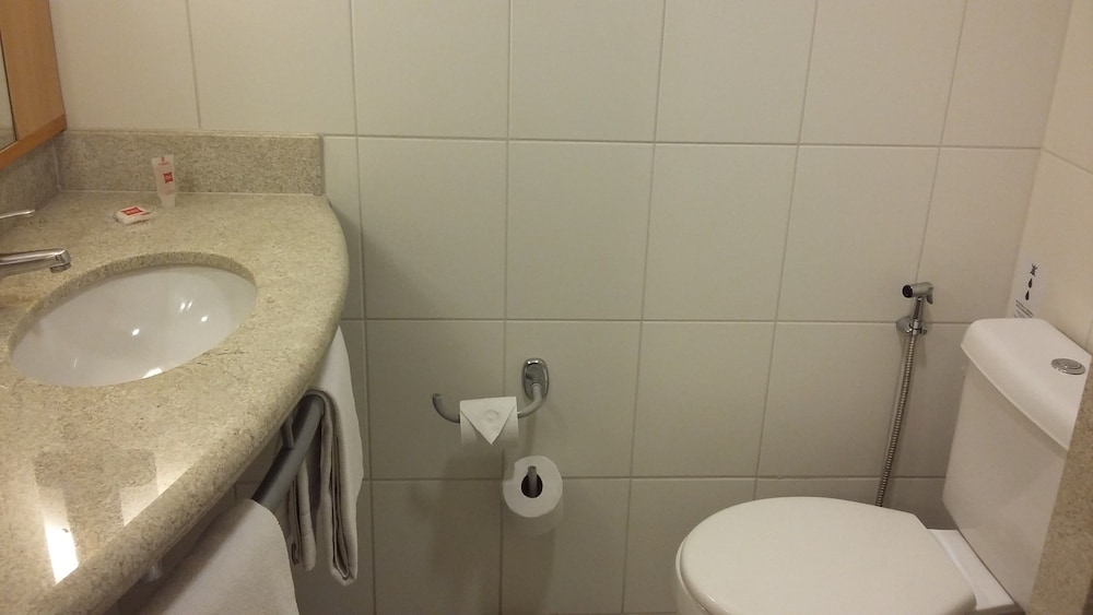 Ibis Belo Horizonte Savassi 47/48