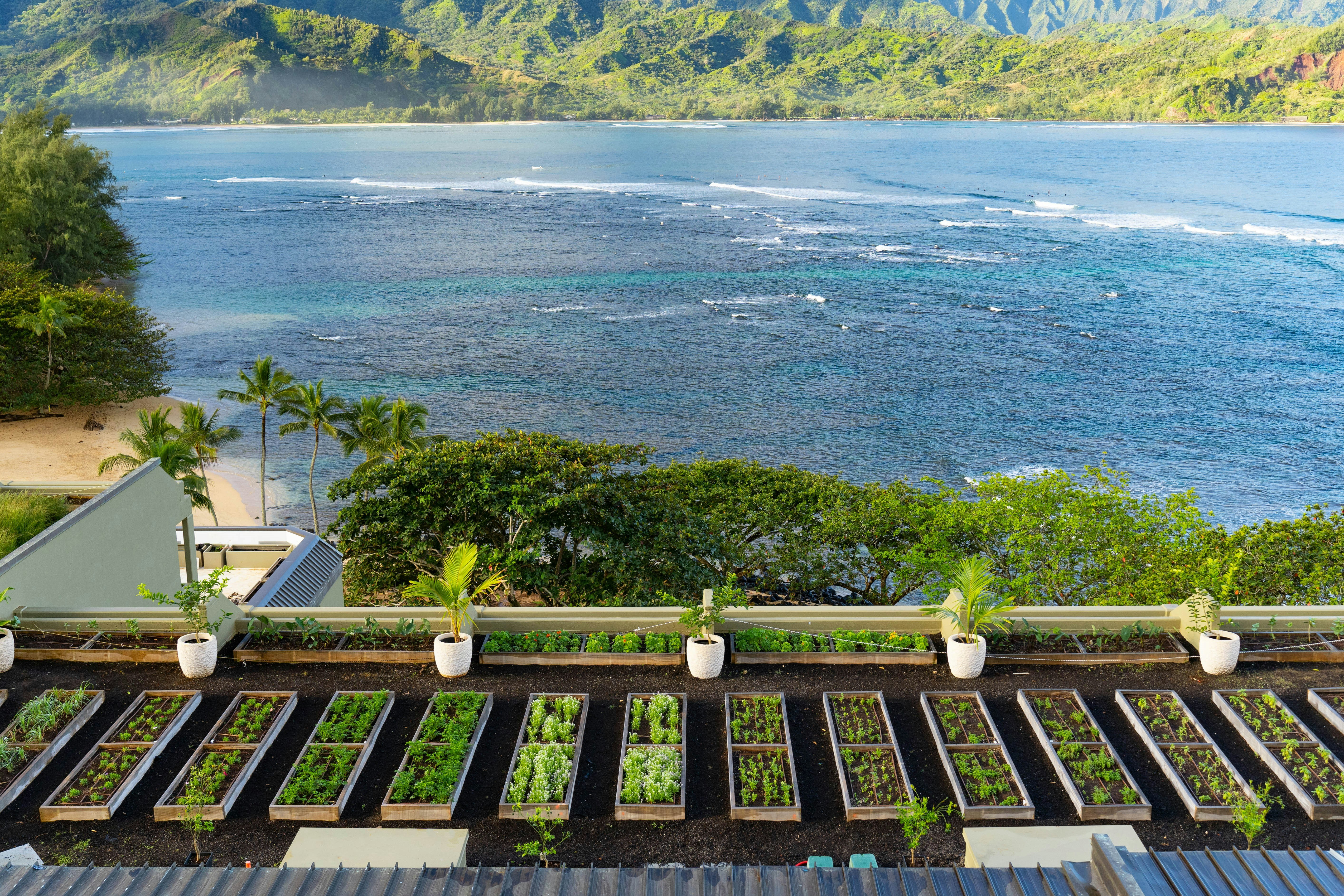 1 Hotel Hanalei Bay 49/50