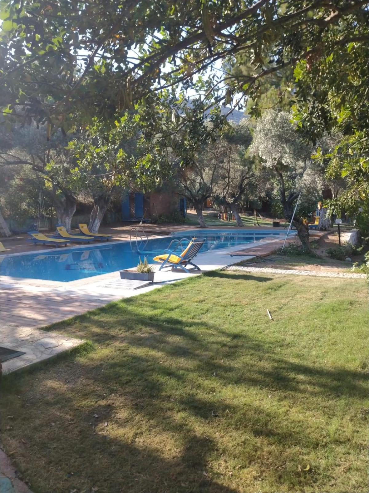 Bahar Bahce Datca 19/39
