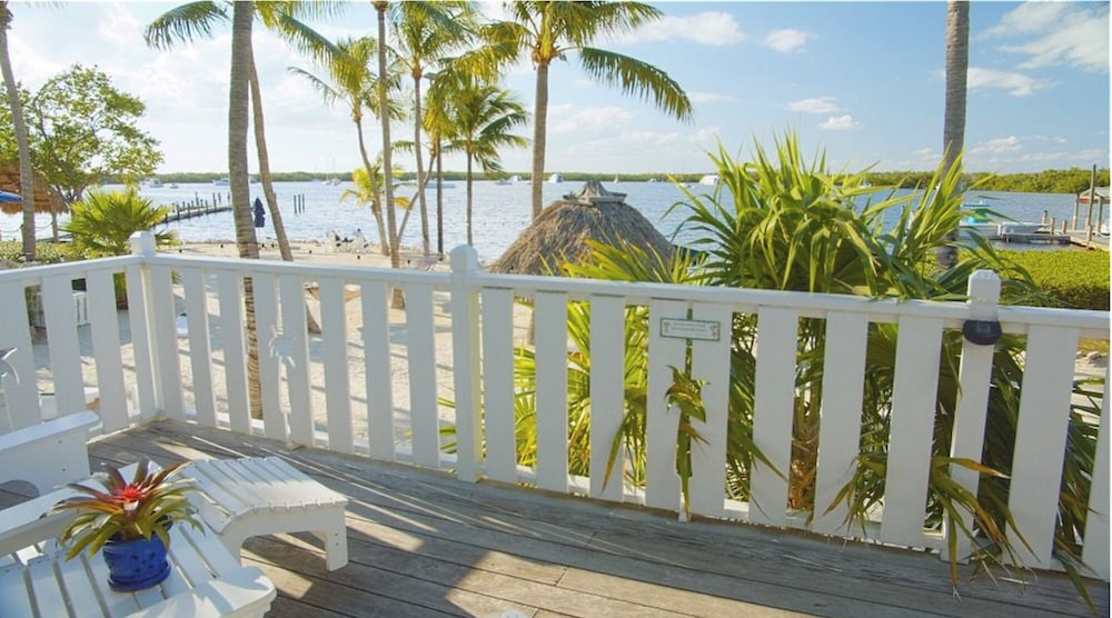 Coconut Palm Inn 1/50