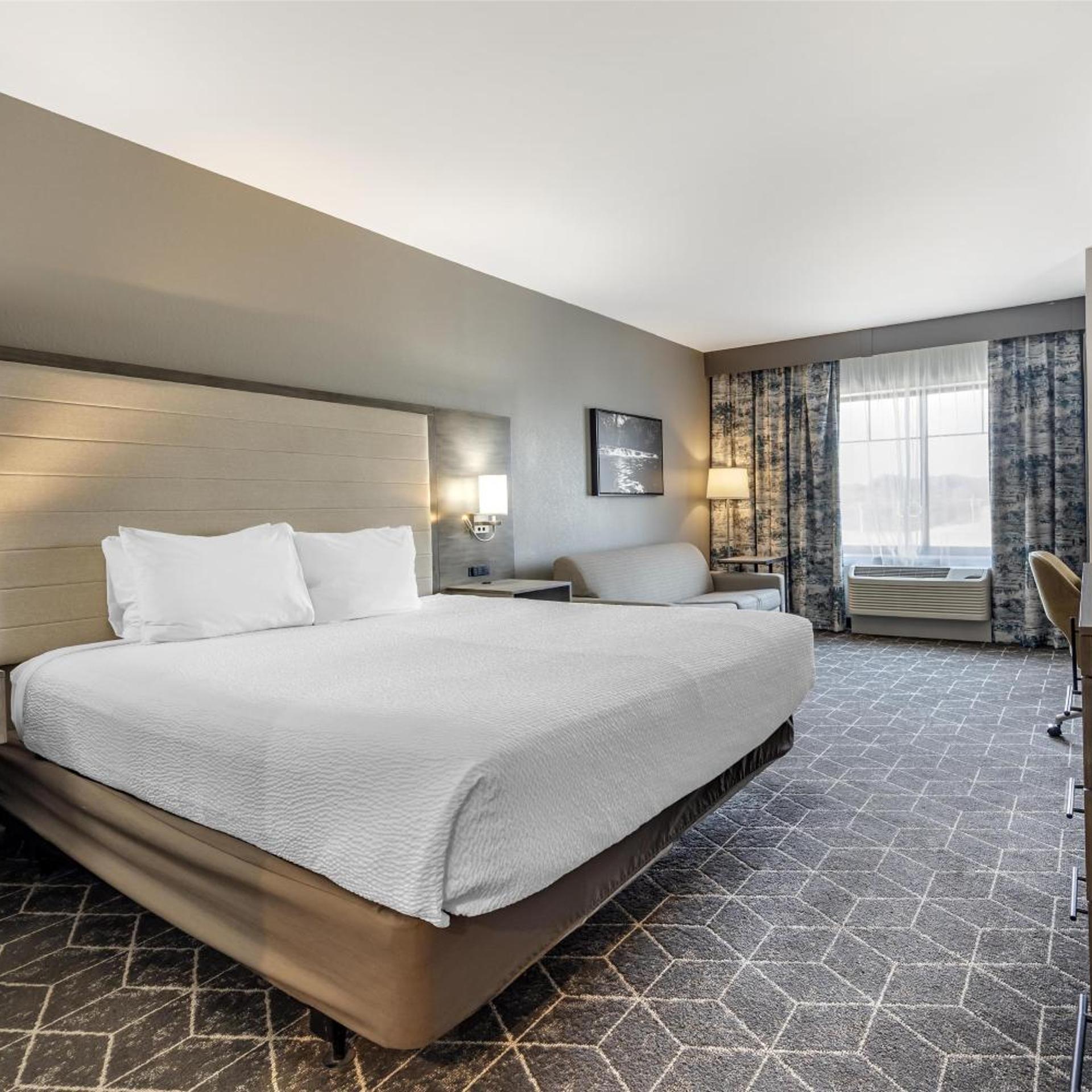 Suite, Queen Bed, Sofa