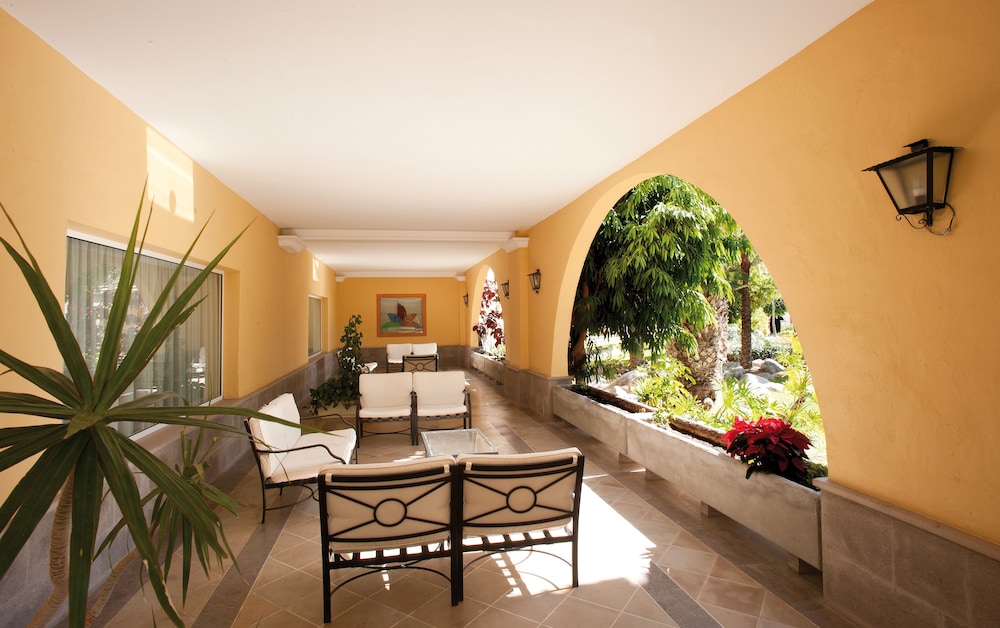 Palm Oasis Maspalomas 24/50