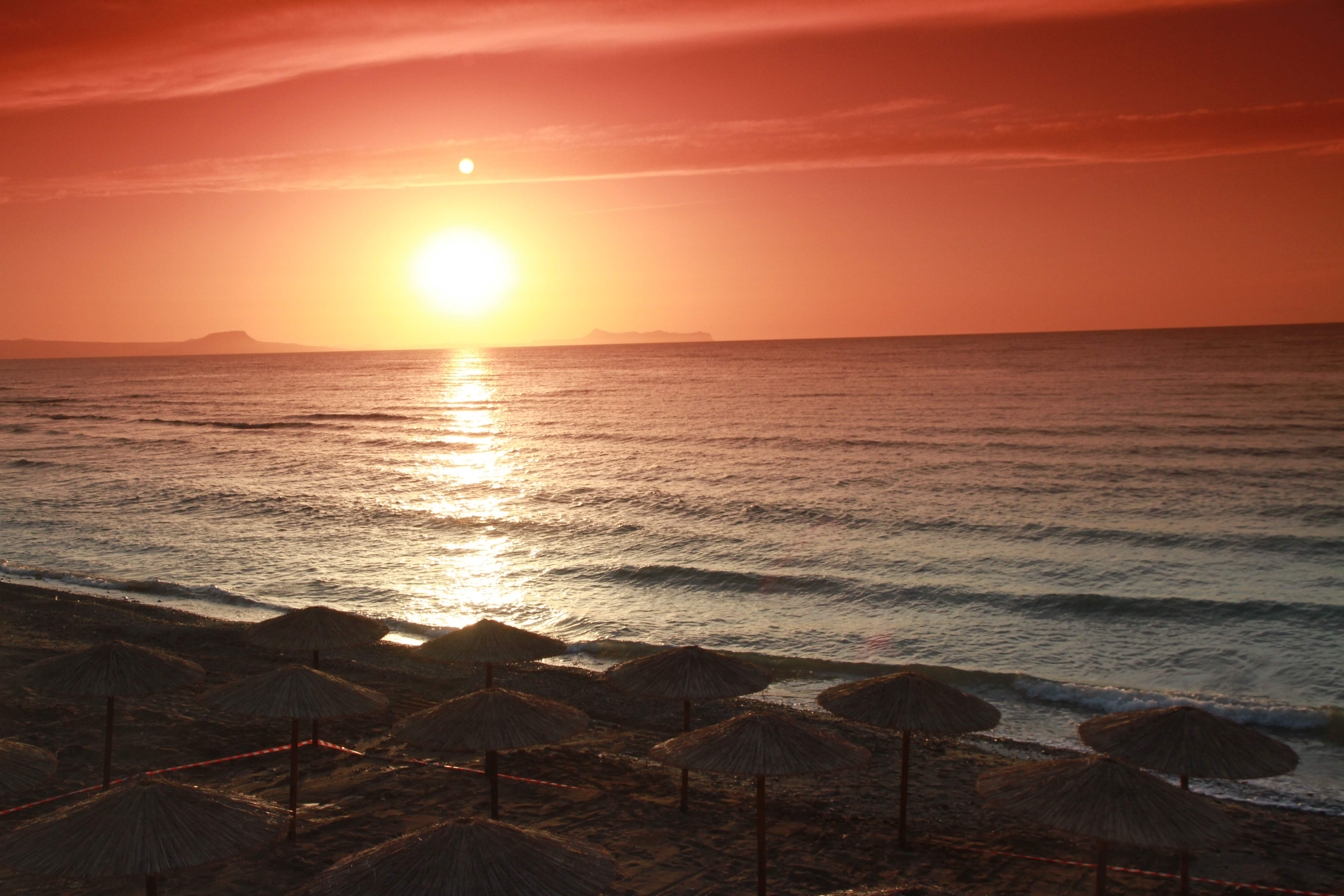 Dedalos Beach Hotel 39/50