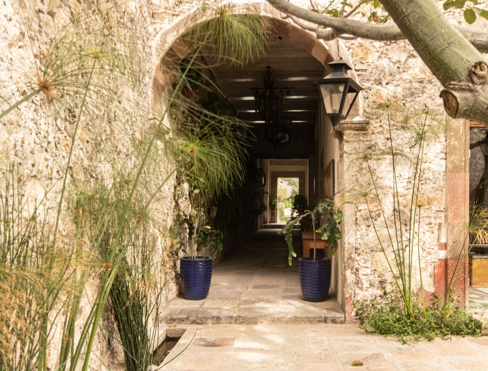 Orchid House San Miguel de Allende 47/50