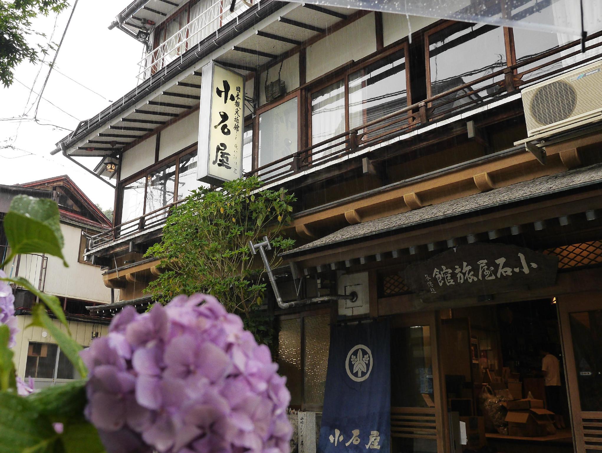 ROOM, MOUNTAIN VIEW, TATAMI