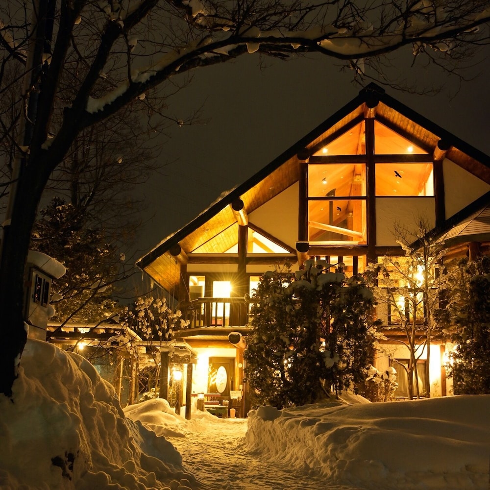 Log Hotel Meteor 图片5