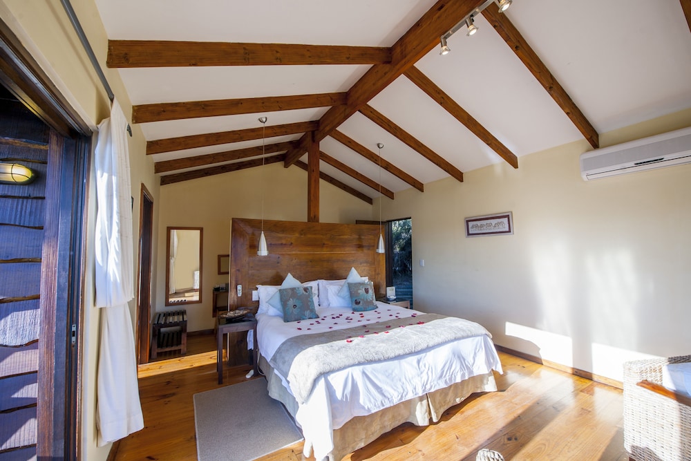 Elephant Hide of Knysna Guest Lodge 14/37