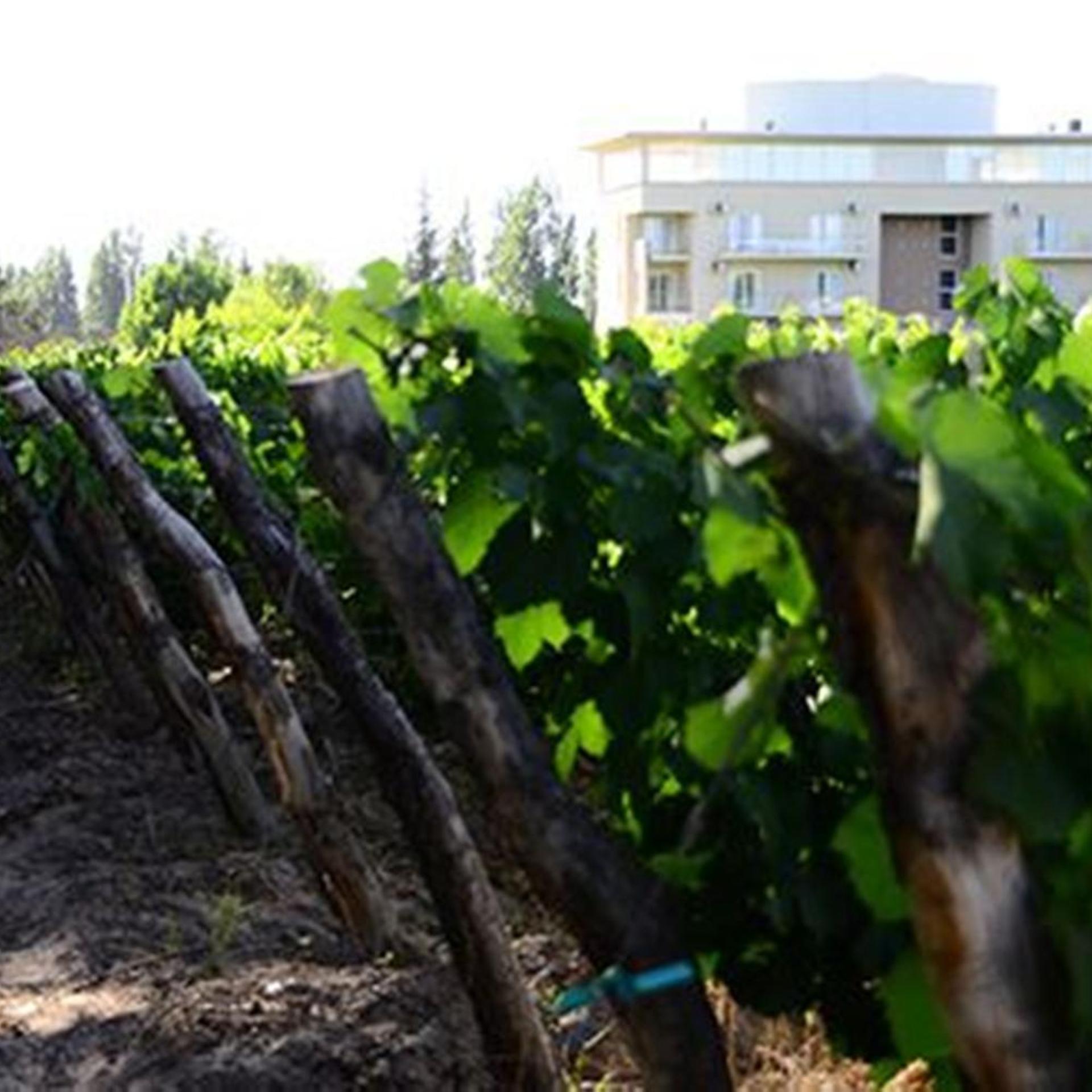 Hotel Finca Hermitage 23/26