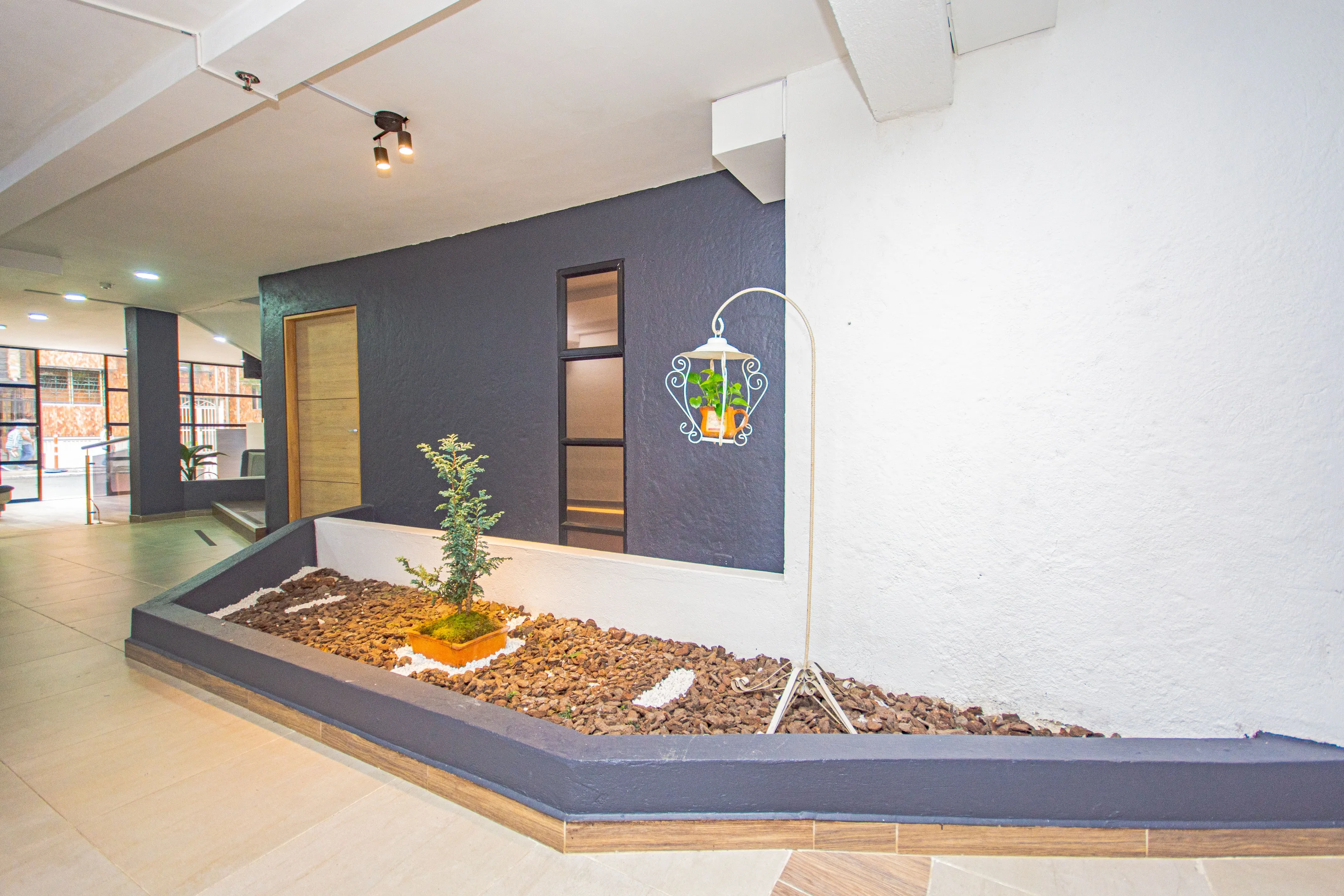 Novus Laureles 5/33