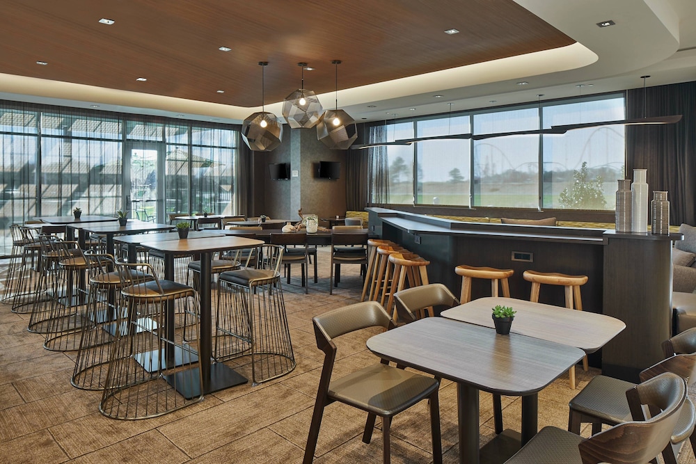 SpringHill Suites by Marriott Charlotte at Carowinds 28/40