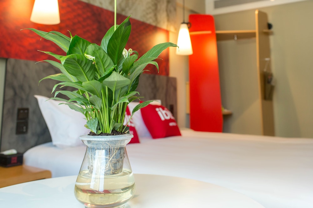 Ibis Lanzhou Dongfanghong Plaza Hotel 38/69