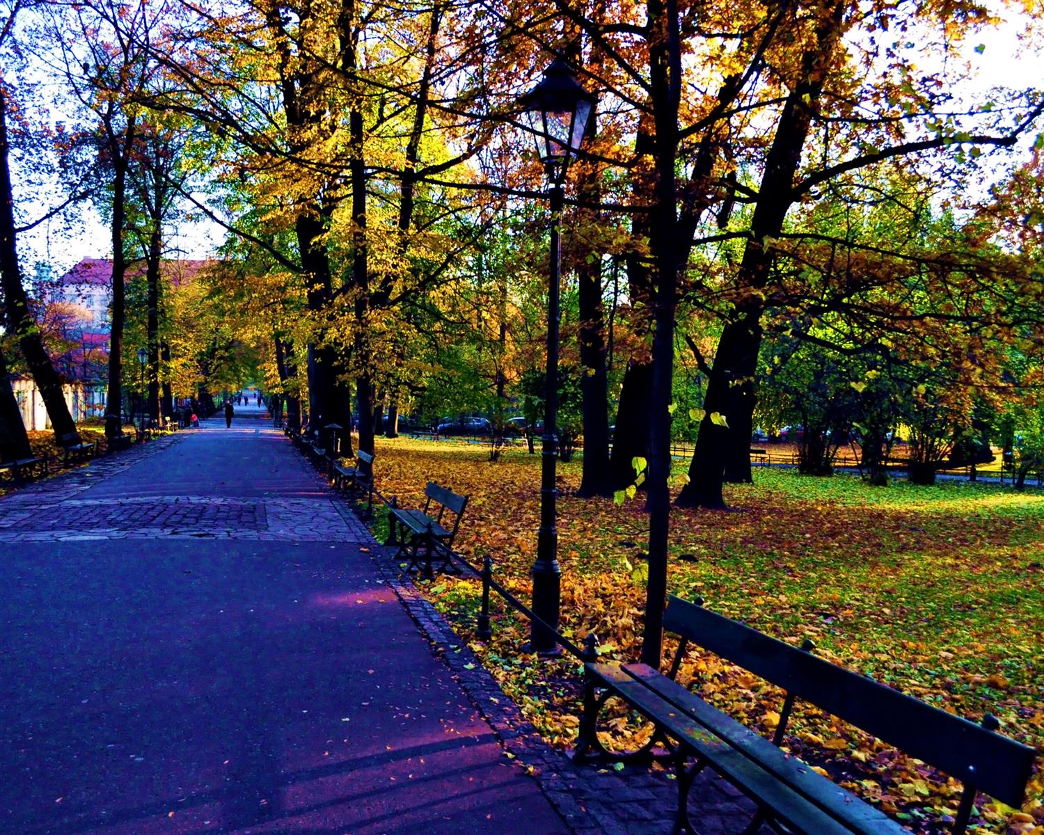 surroundings