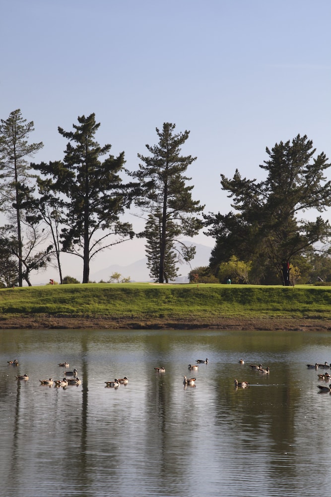 Devonvale Golf and Wine Estate 43/50