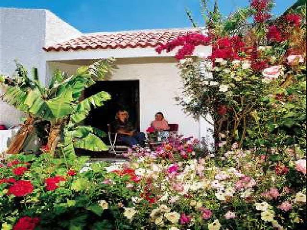 Oasis Hotel Bungalows 9/64