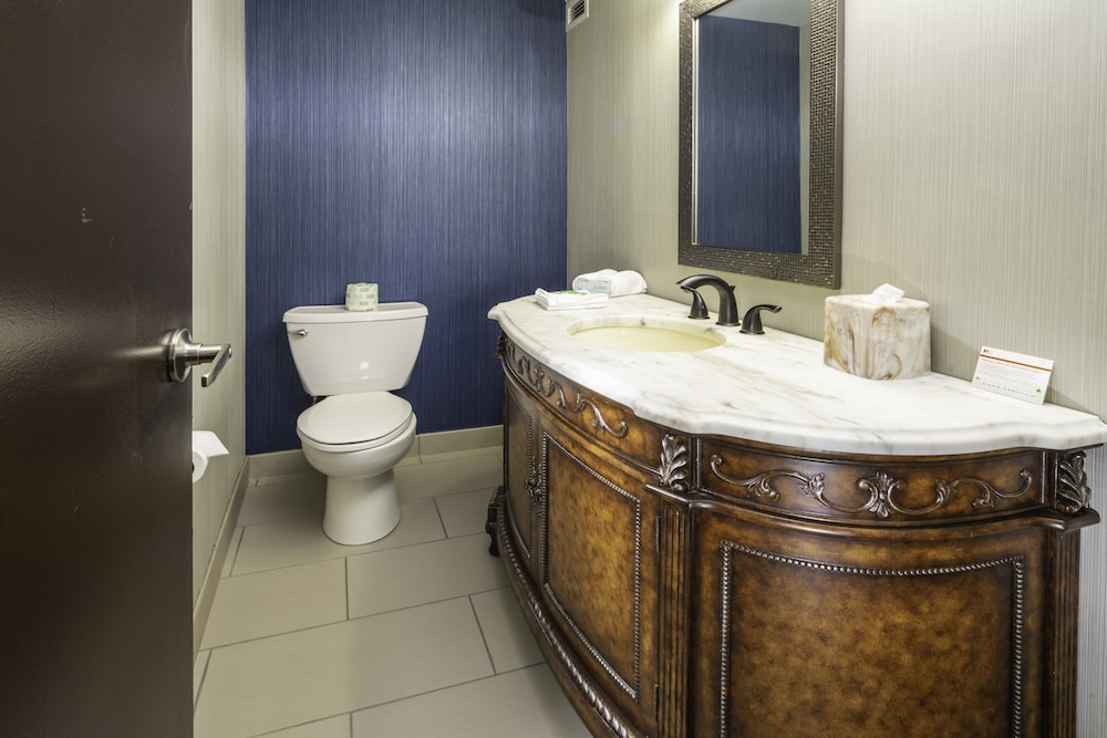 Holiday Inn Louisville East - Hurstbourne 29/78