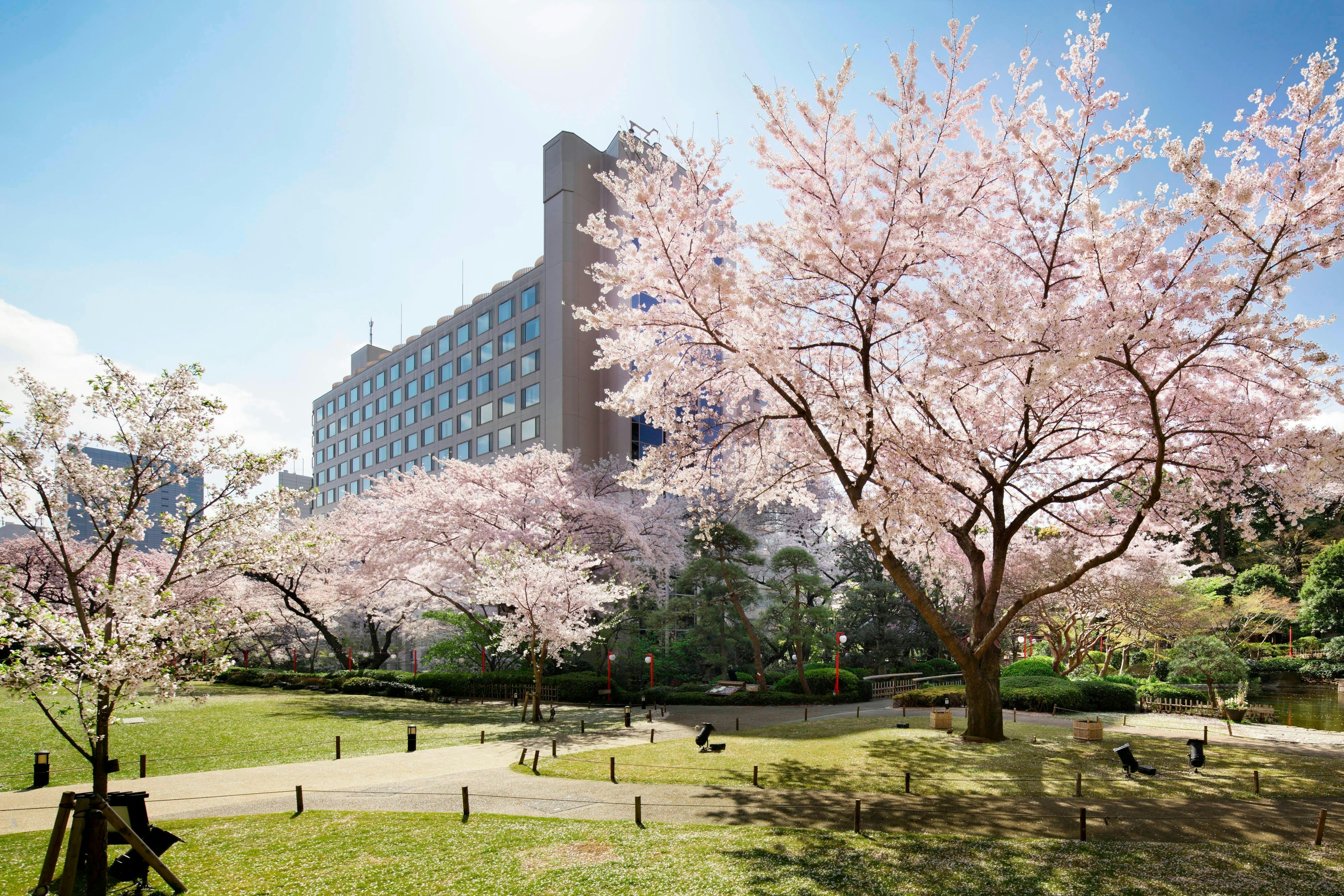 The Prince Sakura Tower Tokyo Autograph Collection 60/66