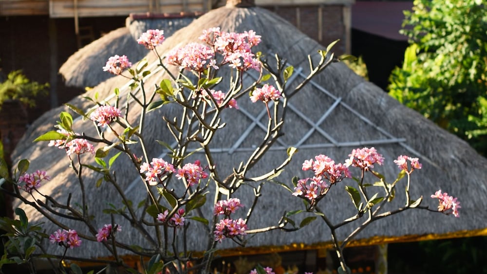 Manzelejepun Luxury Villas Pavilion 13/68