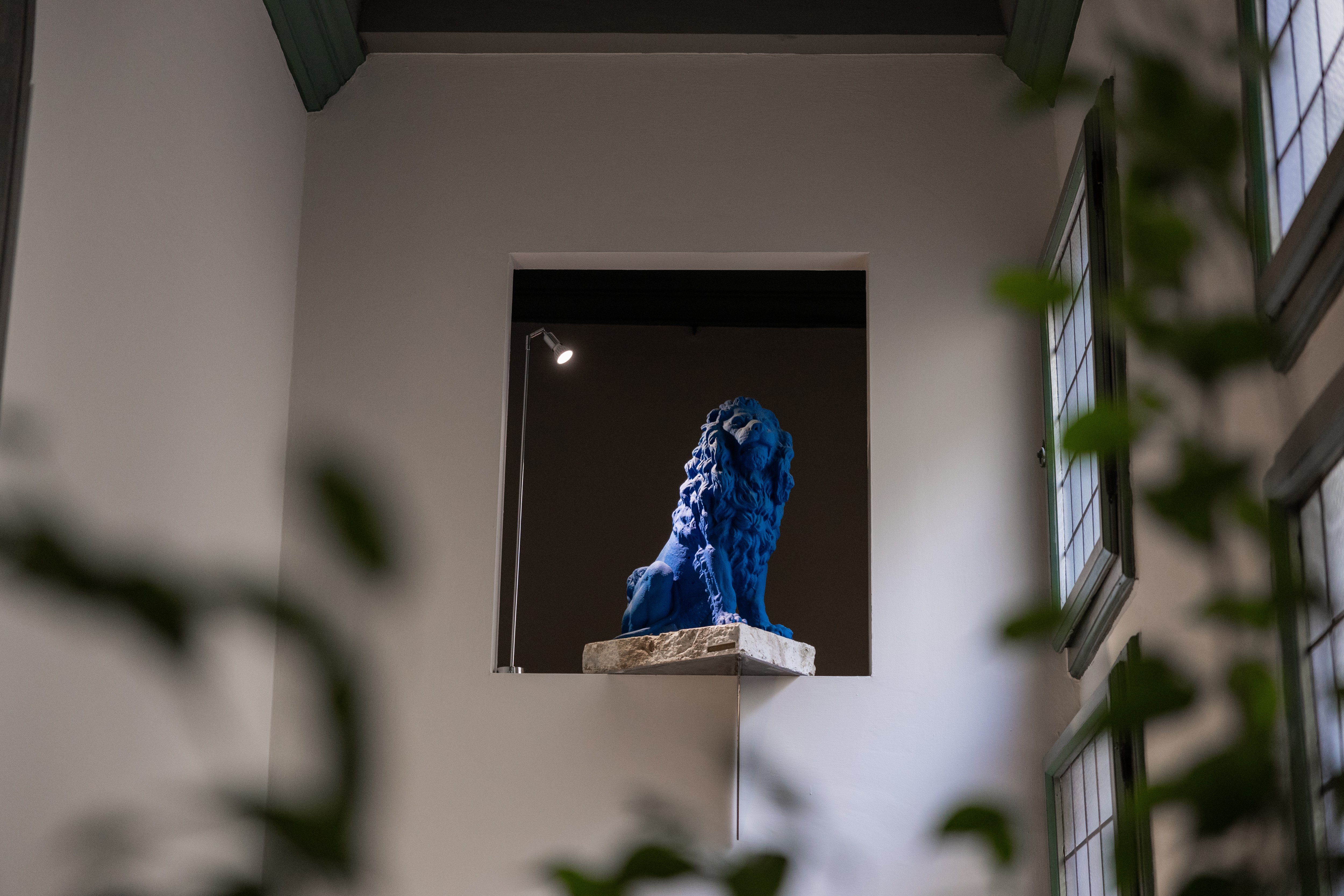Leone Blue Suites 10/44