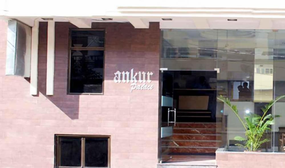 Hotel Ankur Palace 2/29