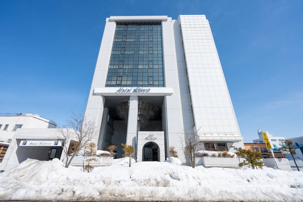 Hotel Liberte Asahikawa in ASAHIKAWA