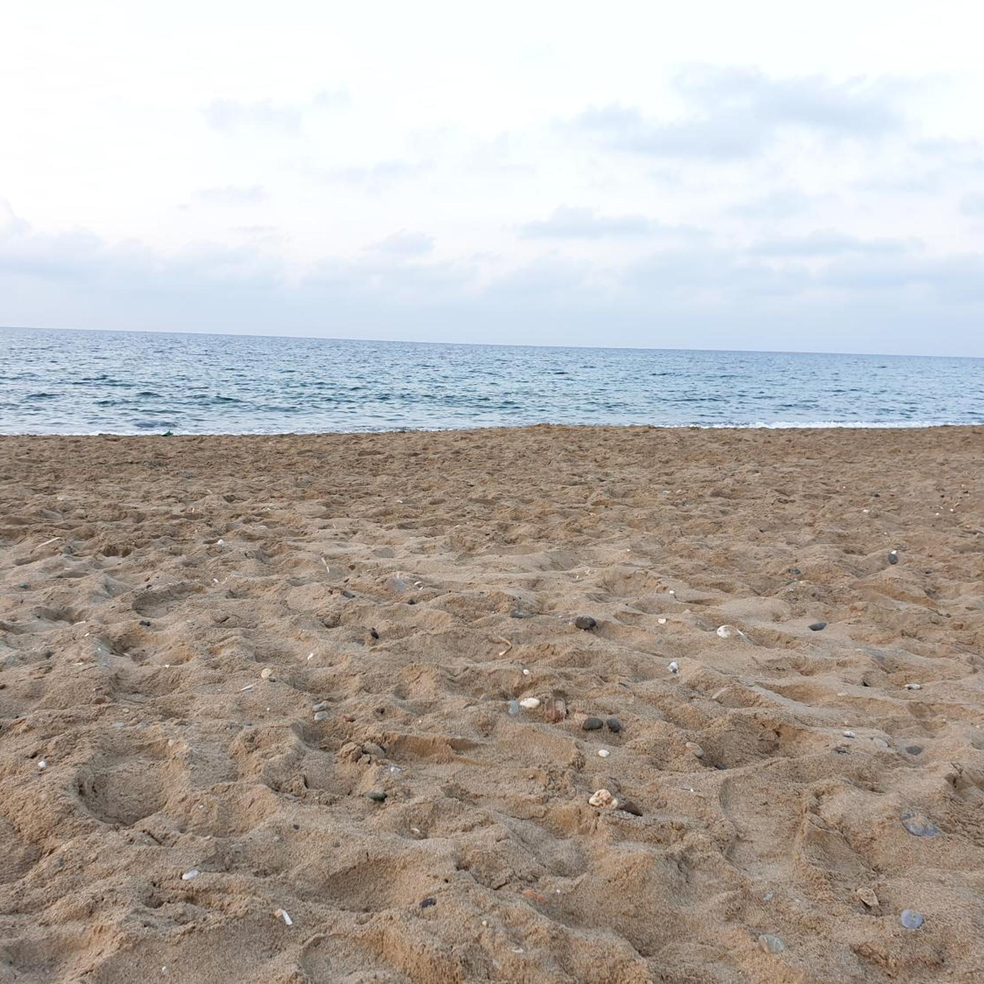Kathrin Beach Hotel 88/95