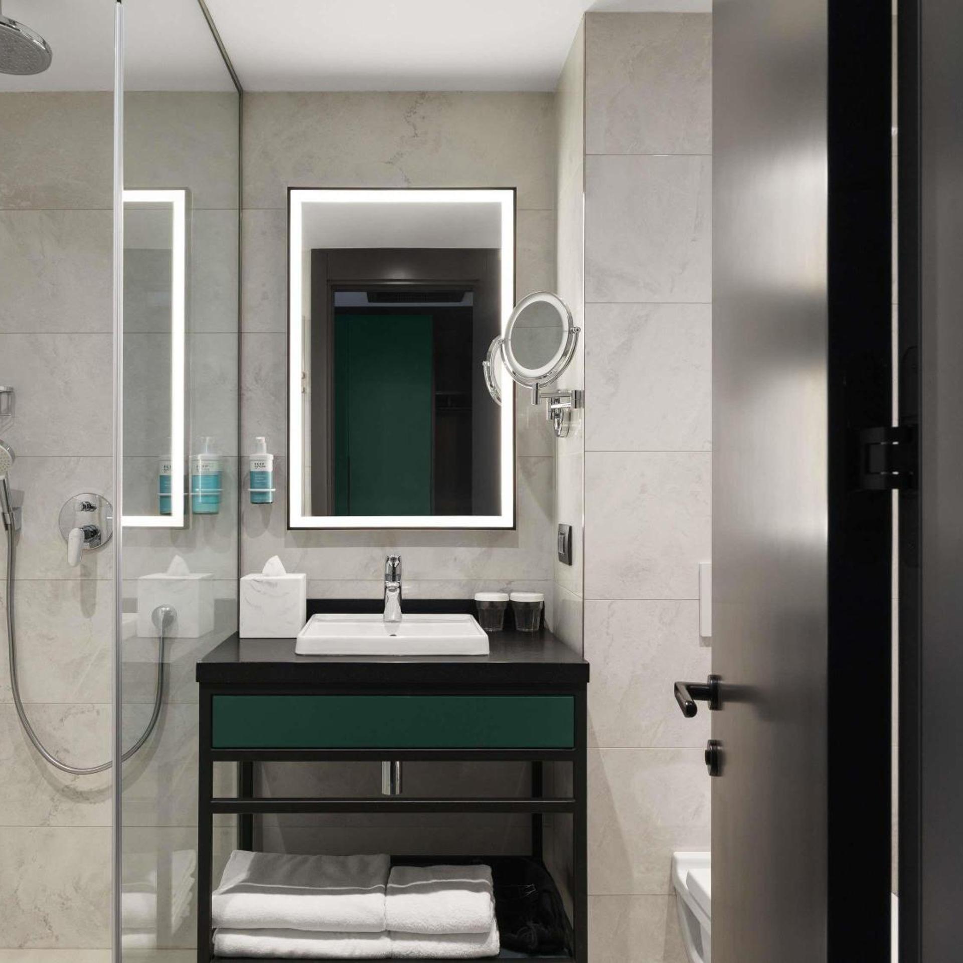 Standard, Single Bed, Novotel Tbilisi Center 6/6