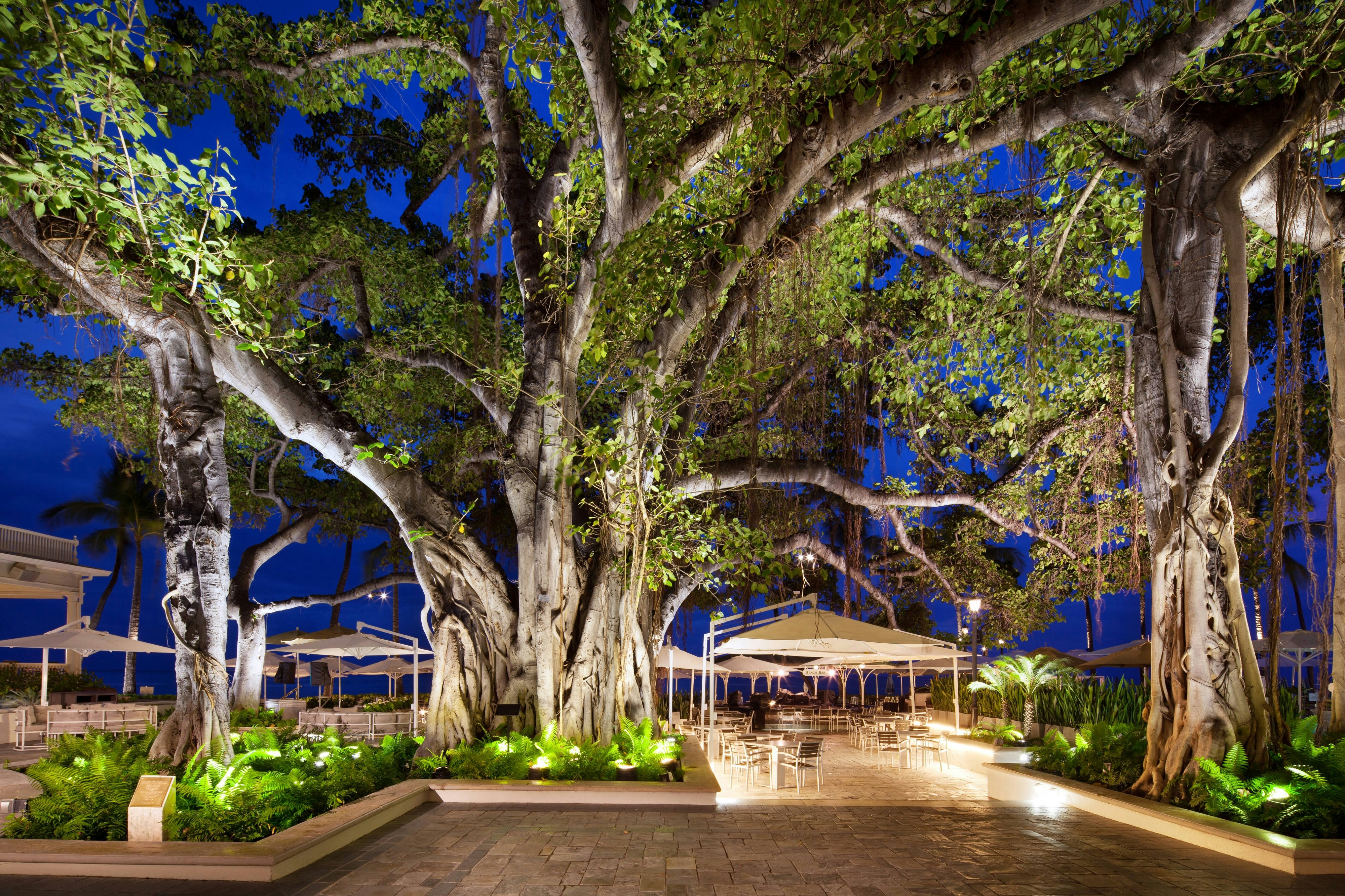 Moana Surfrider A Westin Resort and Spa Waikiki Beach 48/50