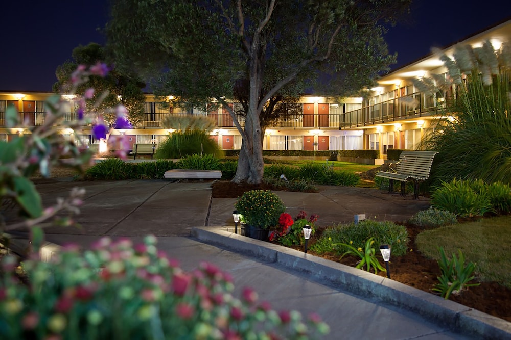 Park Pointe Hotel photo4
