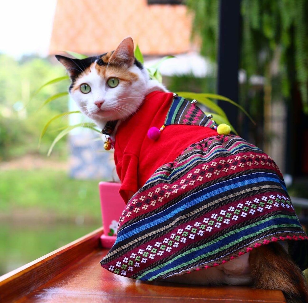 Baan Suan Him Doi 21/50