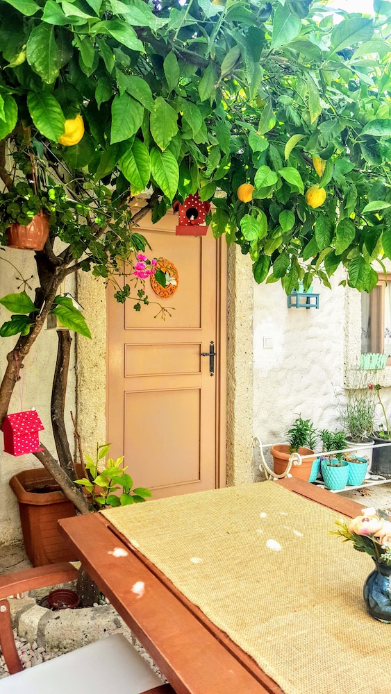 Lilyum Alacati Butik Otel酒店(Lilyum Alacati Butik Otel) 图片1