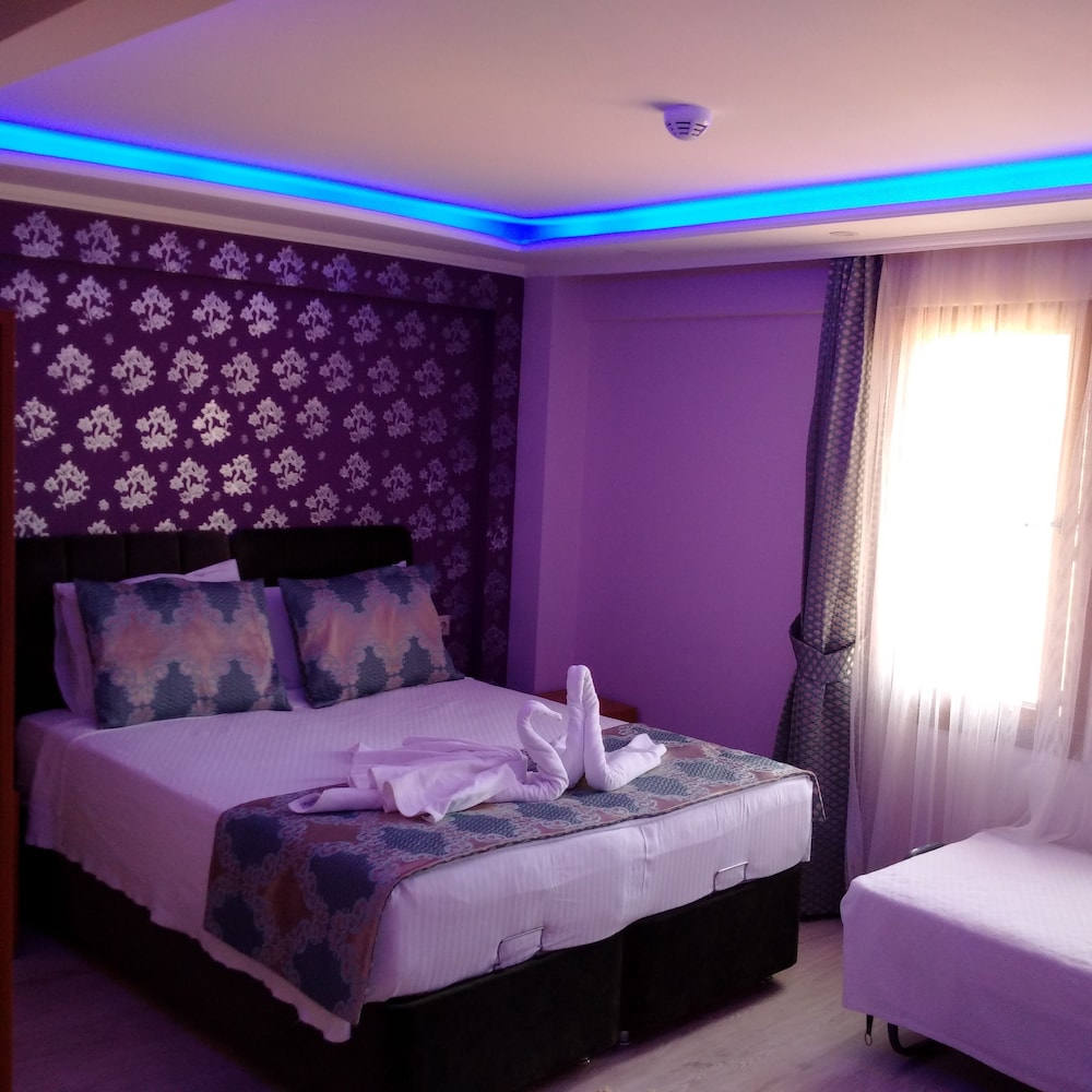 Otel Safran Palas 19/50