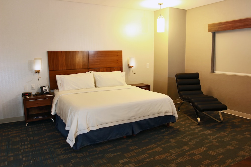 Holiday Inn Express & Suites Mexicali 13/66