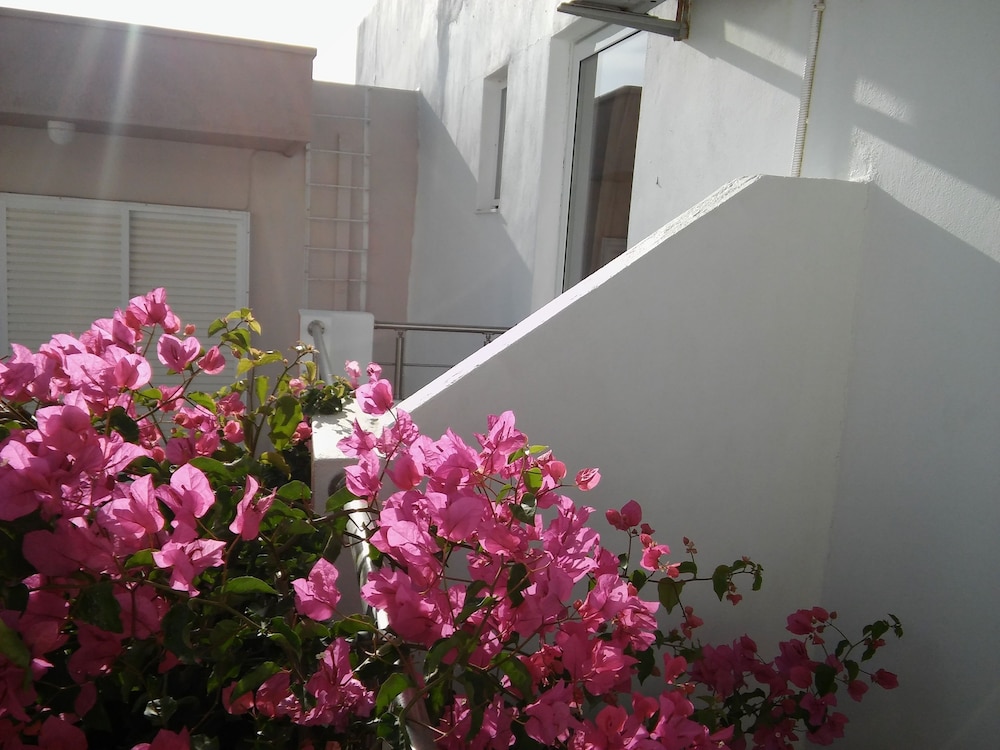 Maria Studios And Apartments 12/15