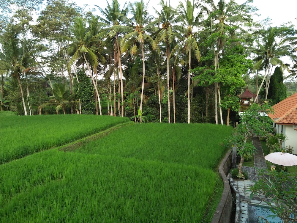 Kubu Bali Baik Villas And Resort 39/50