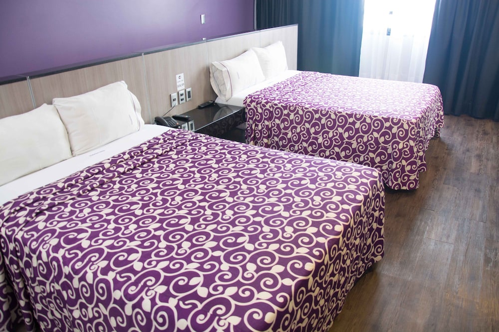 MAXINTIMO HOTEL 10/22