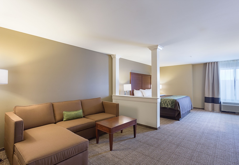 Comfort Inn & Suites Zachary, LA 13/41