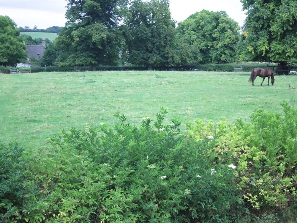 Stone House Bed And Breakfast 16/19
