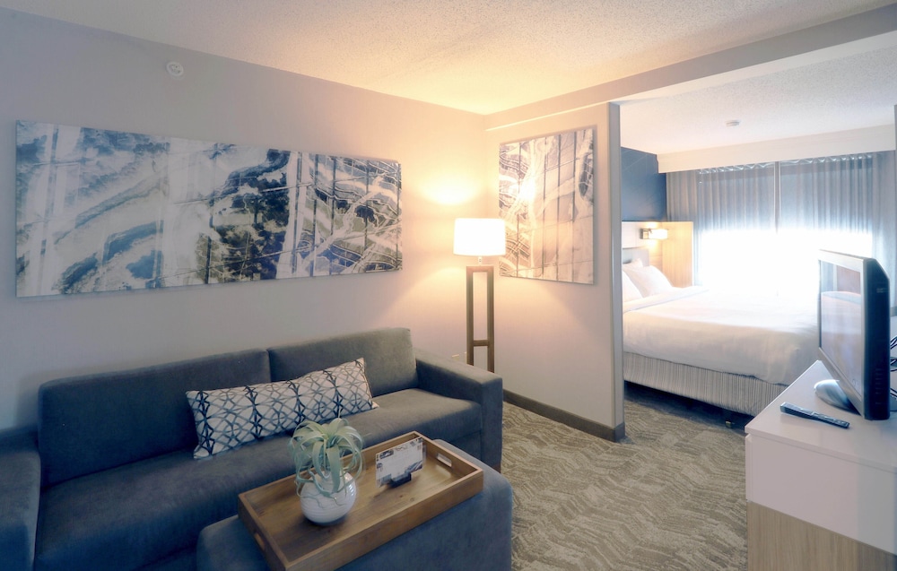 Springhill Suites Minneapolis Eden Prairie 35/60