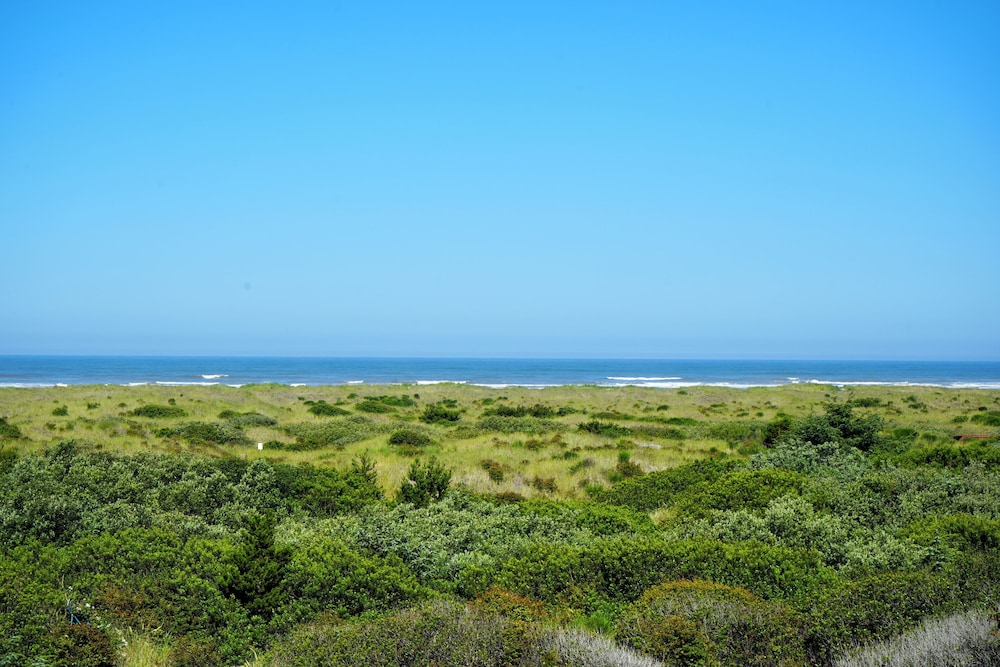Coratel Inn and Suites By Jasper Ocean Shores 48/50
