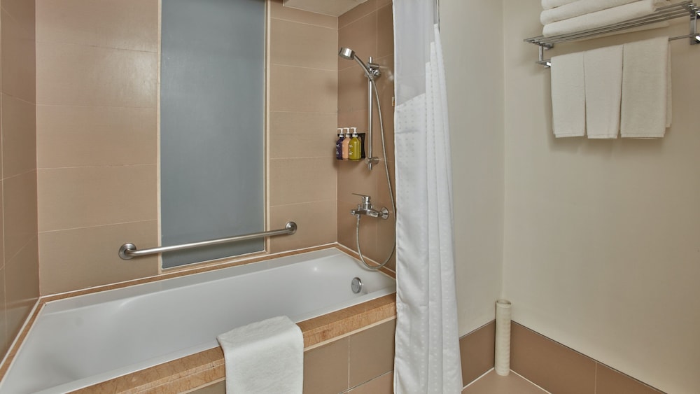 Holiday Inn & Suites Makati 16/75