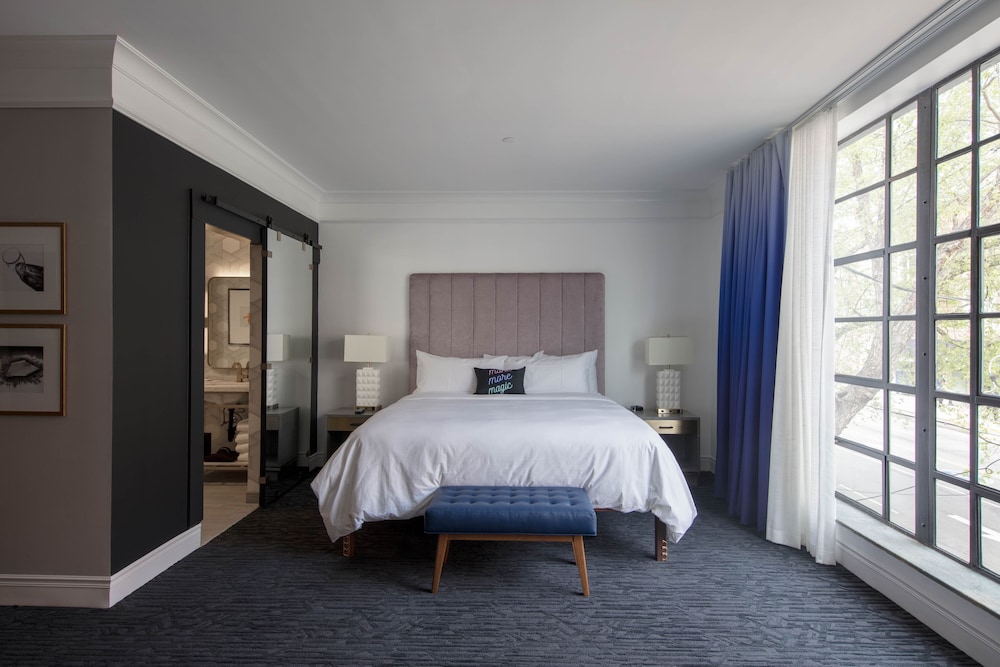 Suite, King Bed
