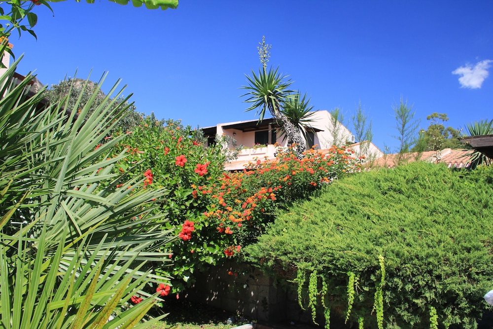 Albaruja 55/67