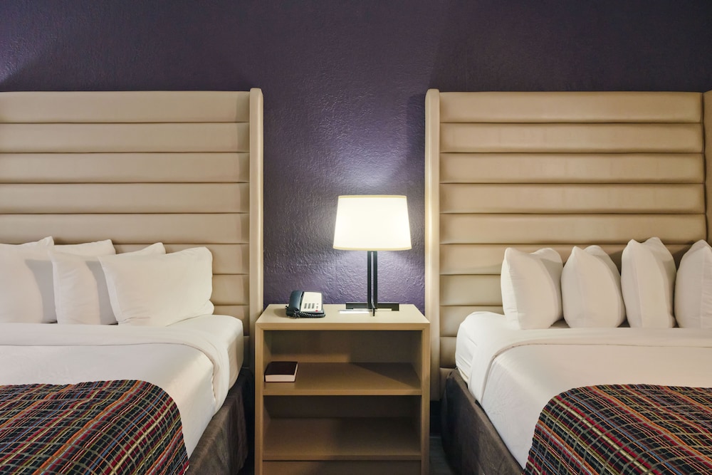 The Palms Inn & Suites 11/45