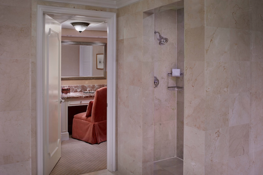 The Ritz Carlton Coconut Grove Miami 14/47